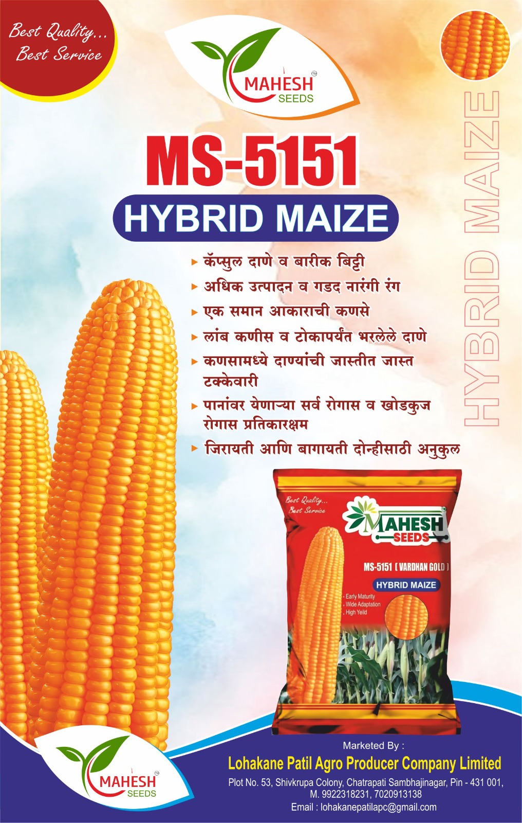 MS-5151 Hybrid Maize