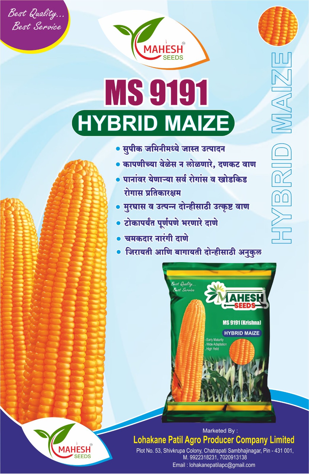 MS-9191 Hybrid Maize