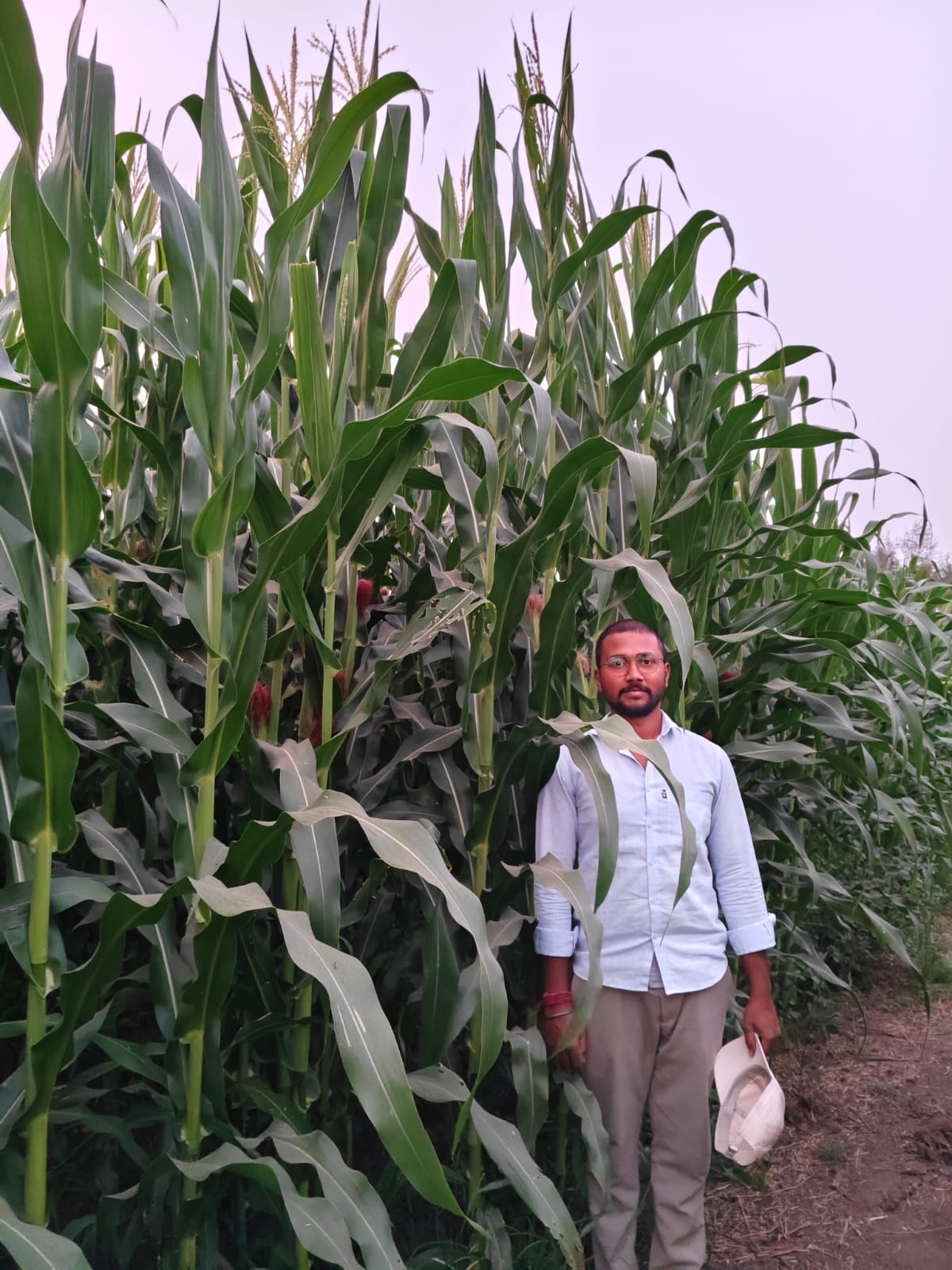 Seed varieties