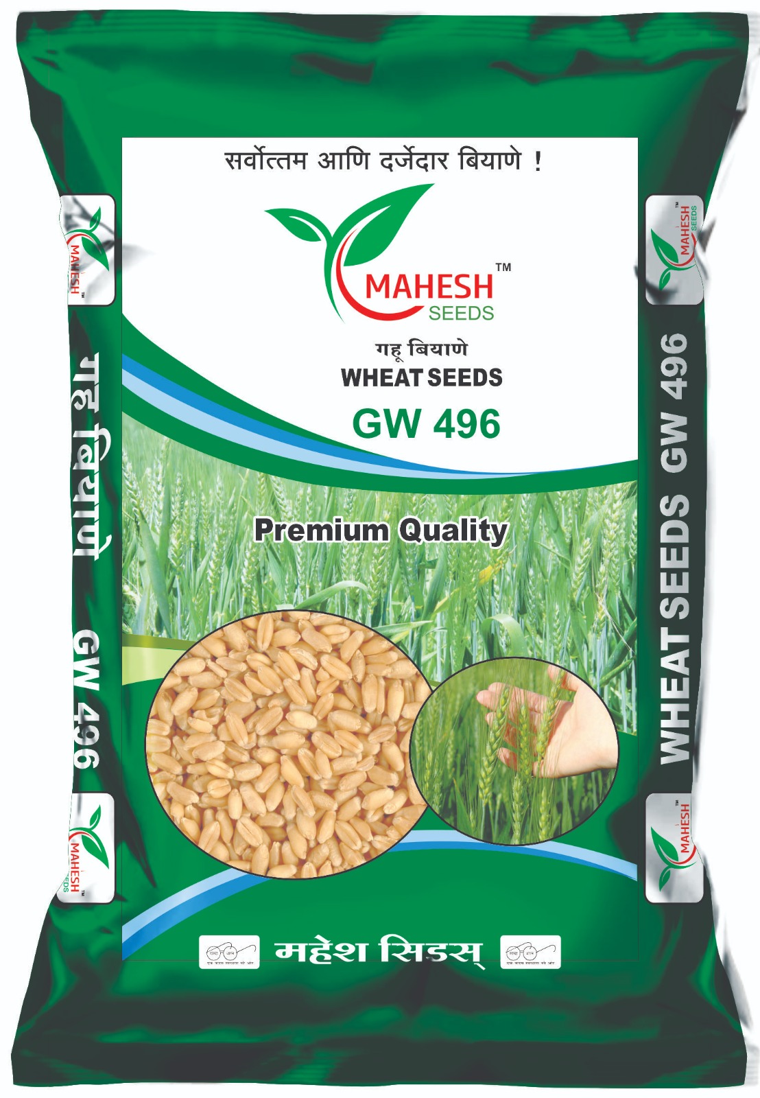 GW 496 Wheat